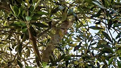 Marelle Santa Monica Marelle Santa Monica