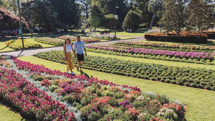 Toowoomba, QLD Toowoomba, QLD