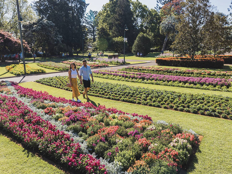 Toowoomba, QLD Toowoomba, QLD