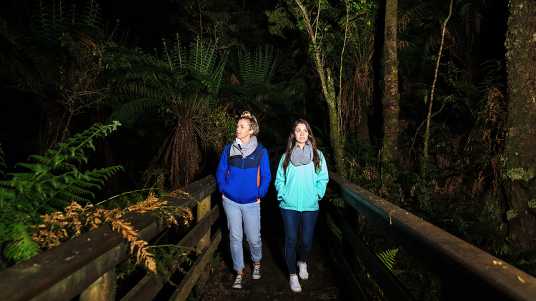 Melba Gully  Melba Gully