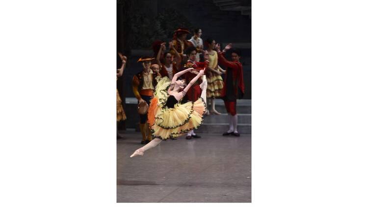 東京バレエ団『ドン・キホーテ』 東京バレエ団『ドン・キホーテ』