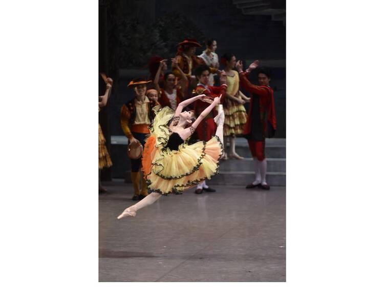 東京バレエ団『ドン・キホーテ』 東京バレエ団『ドン・キホーテ』