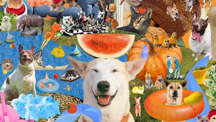 เดินช็อปสินค้าให้สัตว์เลี้ยงน่ารักท่ามกลางบรรยากาศสุดอบอุ่นในงานเปิดโกดัง 4 Gluta Story