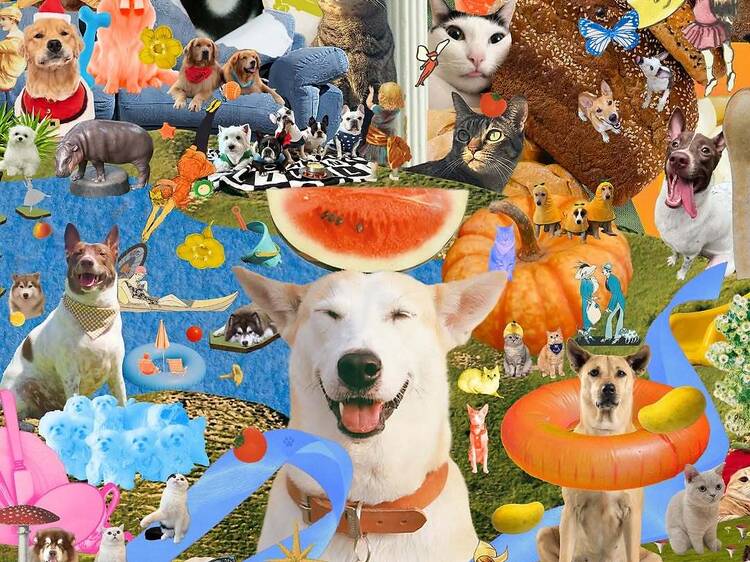 เดินช็อปสินค้าให้สัตว์เลี้ยงน่ารักท่ามกลางบรรยากาศสุดอบอุ่นในงานเปิดโกดัง 4 Gluta Story