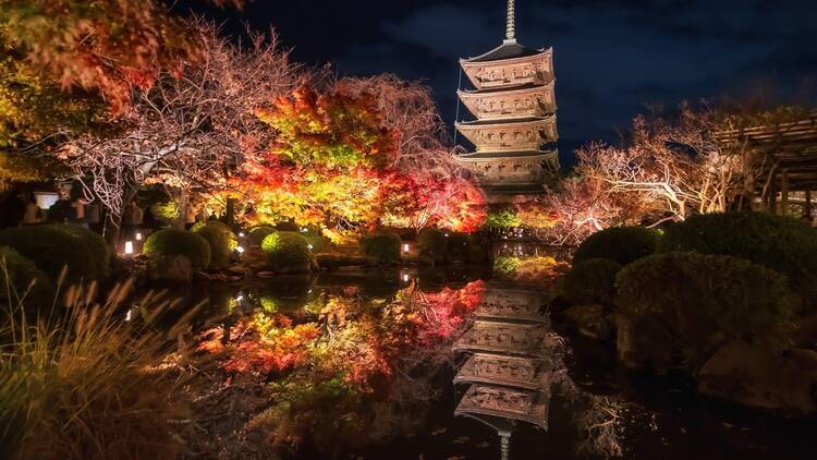 5 best Kyoto temples and gardens for stunning autumn illuminations