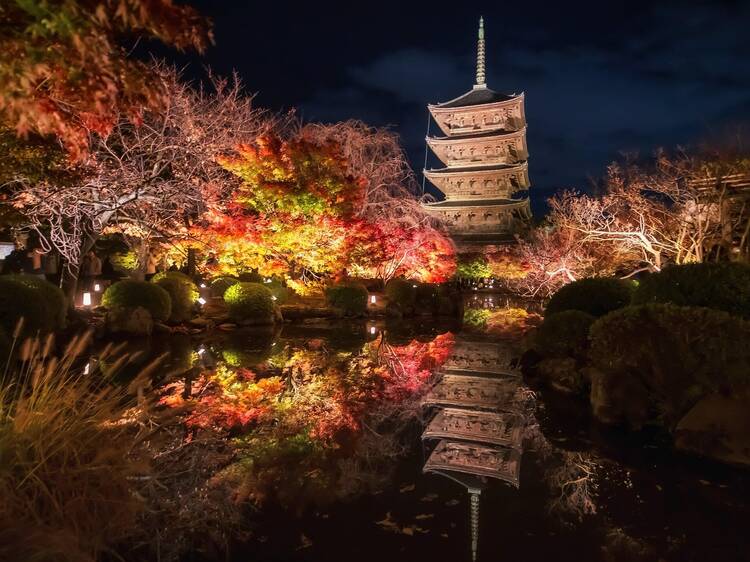Best Kyoto temples and gardens for stunning autumn night illuminations Best Kyoto temples and gardens for stunning autumn night illuminations