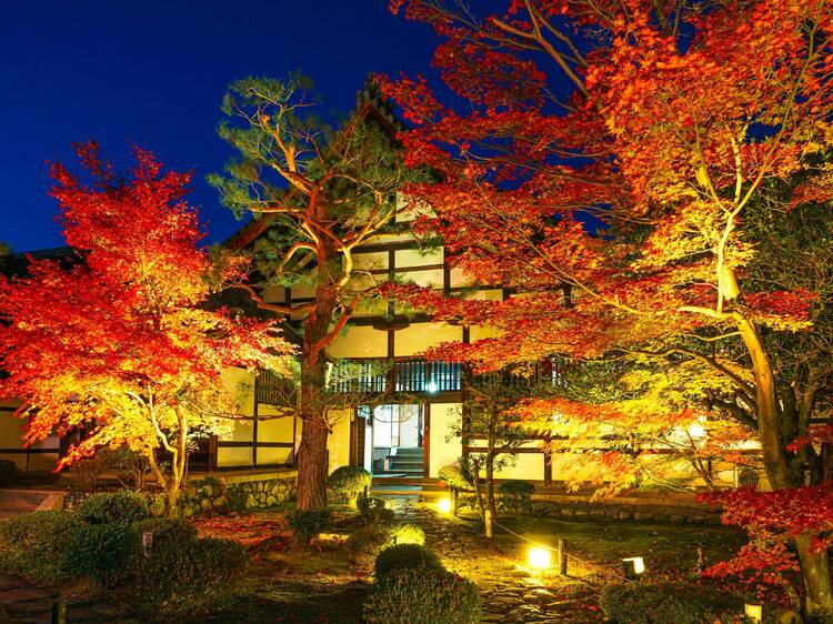 Arashiyama’s Rokuoin Special Night Viewing Arashiyama’s Rokuoin Special Night Viewing
