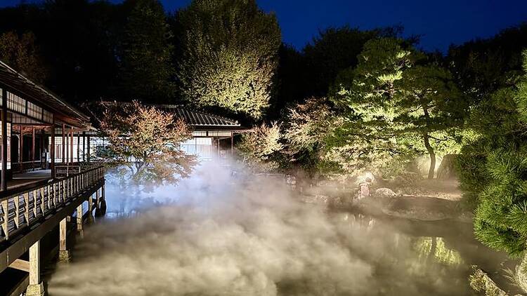 Shoseien Special Night Viewing: Shoseien Autumn Illumination Shoseien Special Night Viewing: Shoseien Autumn Illumination