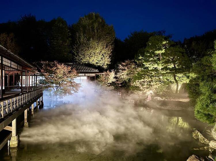 Shoseien Special Night Viewing: Shoseien Autumn Illumination Shoseien Special Night Viewing: Shoseien Autumn Illumination