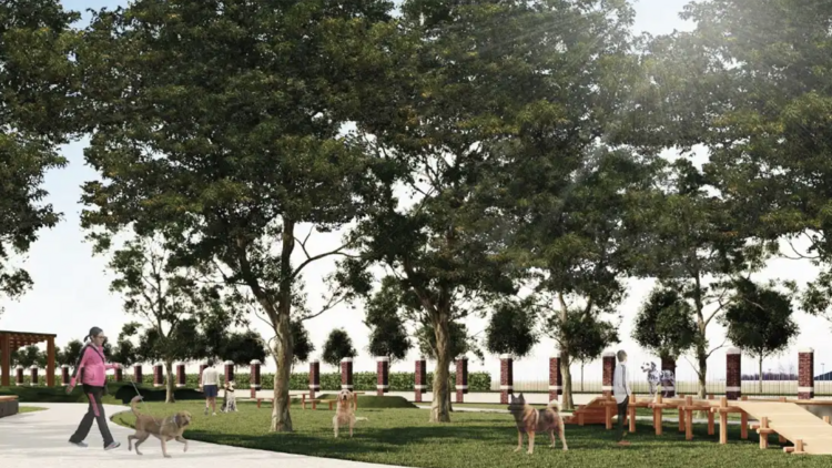 Dog park in Lumphini Park Dog park in Lumphini Park