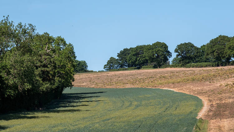 The Chess Valley, England The Chess Valley, England