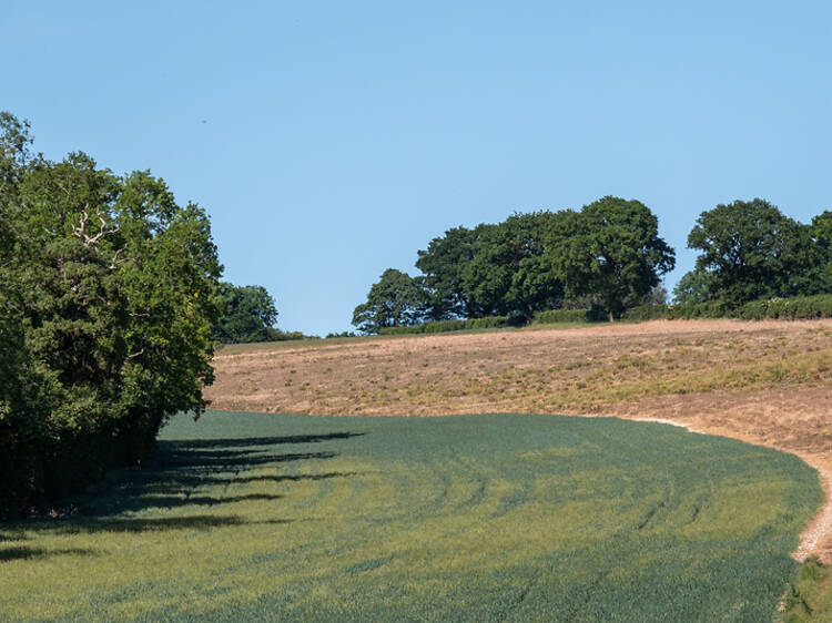 The hilly, lush and âbucolicâ trail that is officially one of the best scenic walks near London The hilly, lush and âbucolicâ trail that is officially one of the best scenic walks near London