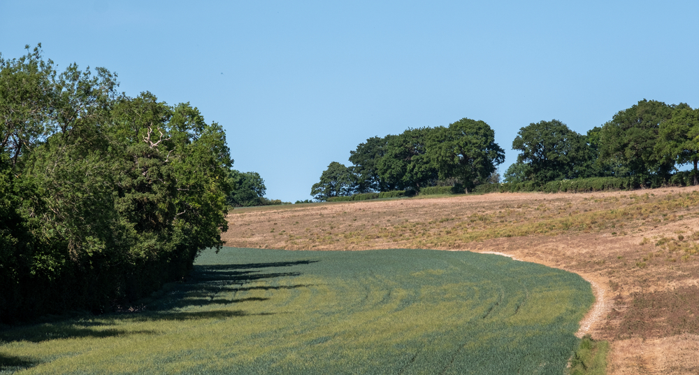 This hilly, lush and 'bucolic' trail is officially one of the best scenic walks near London