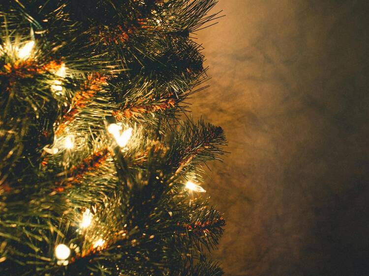 The President Hotel The President Hotel