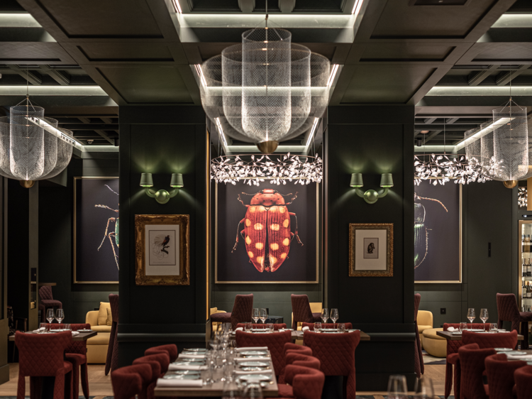 Da francesinha ao leitão: no Áurea, os sabores são tradicionais, mas as influências vêm do mundo inteiro