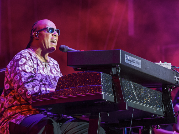 There's a free, all-day Stevie Wonder tribute concert happening in NYC next month
