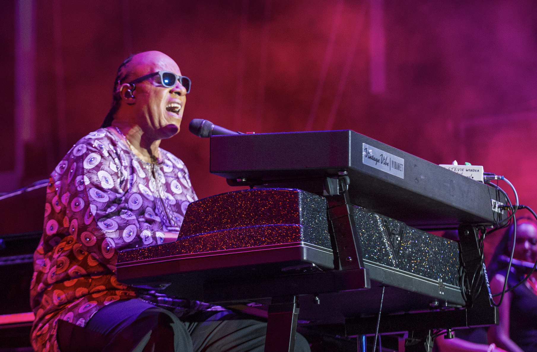 A free all-day Stevie Wonder tribute hits NYC this November
