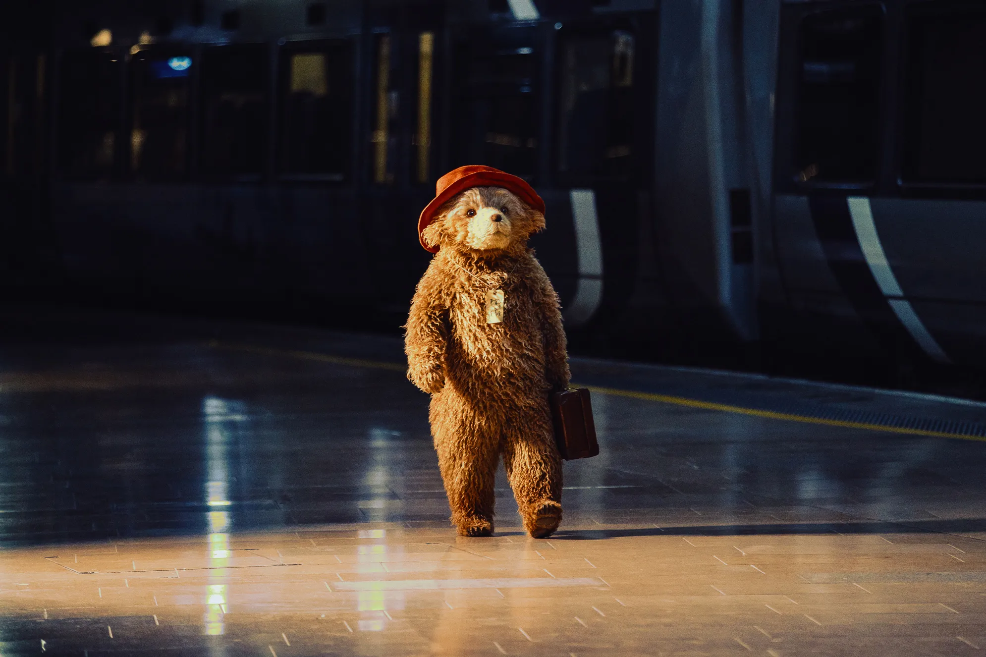Paddington the Musical, Savoy Theatre, 2025