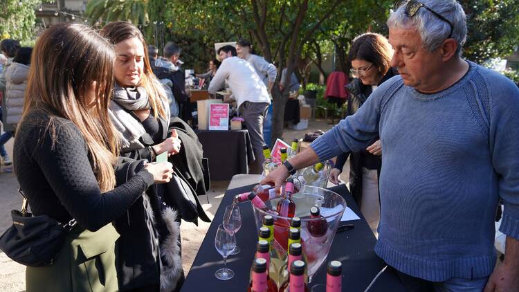 Fiesta del Vi Novell 2025