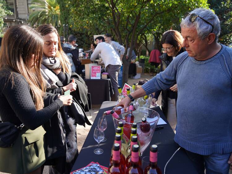 Fiesta del Vi Novell 2025