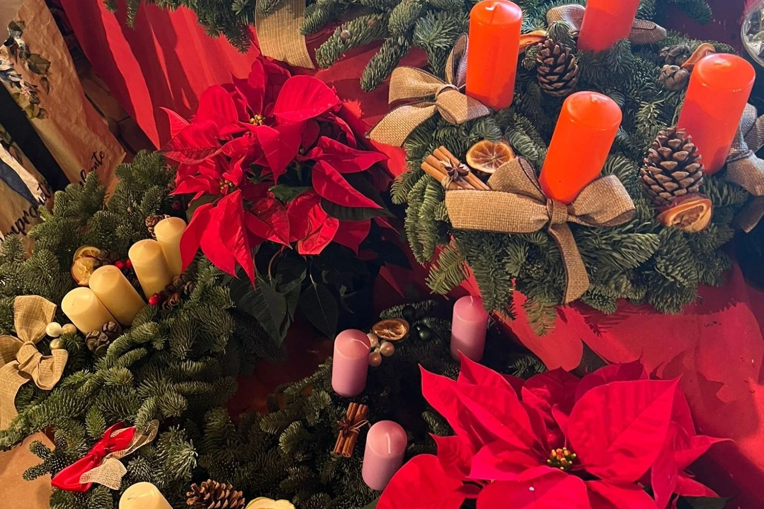 Asociaci&oacute;n Damas Suizas de Madrid