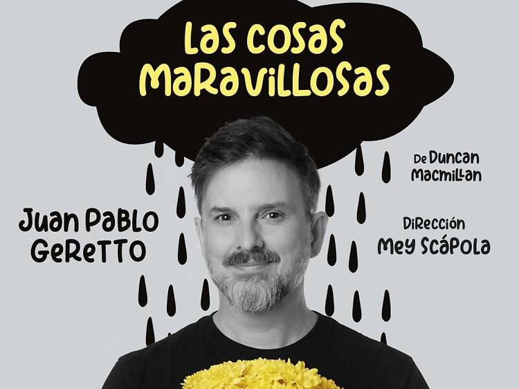 Las cosas maravillosas