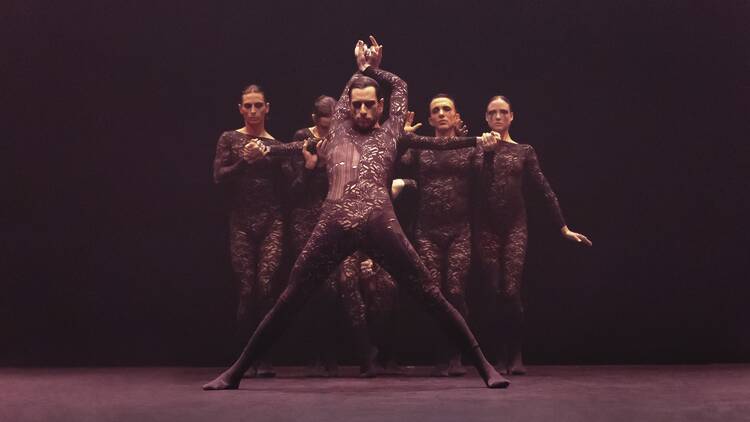 S-E-D / Sharon Eyal: Into The Hairy S-E-D / Sharon Eyal: Into The Hairy