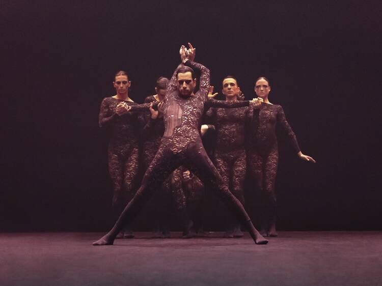 S-E-D / Sharon Eyal: Into The Hairy S-E-D / Sharon Eyal: Into The Hairy