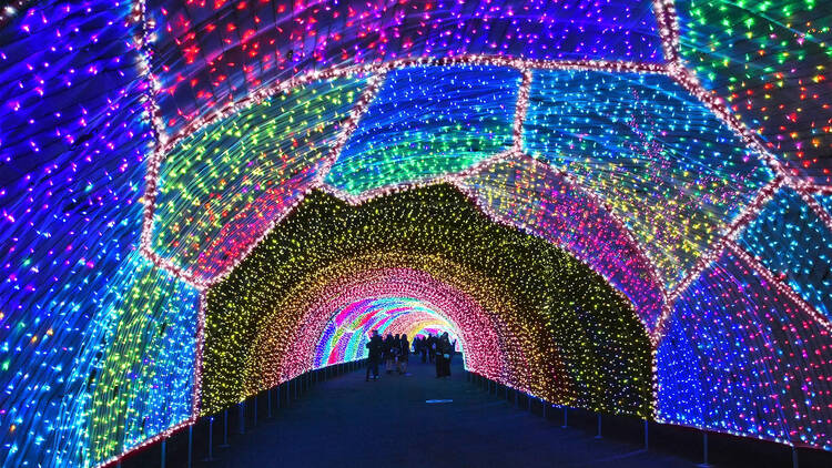 よみうりランド ジュエルミネーション よみうりランド ジュエルミネーション