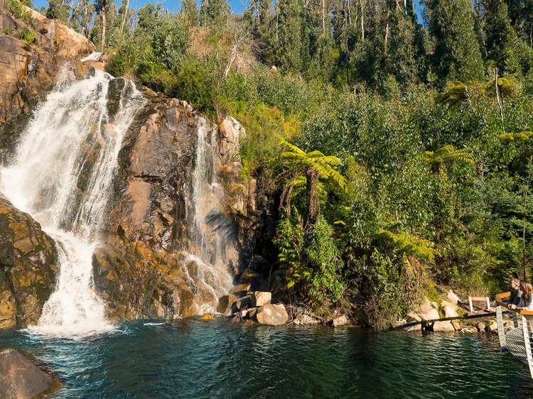 This stunning hike takes you past one of Victoria's tallest waterfalls to a magical swimming spot