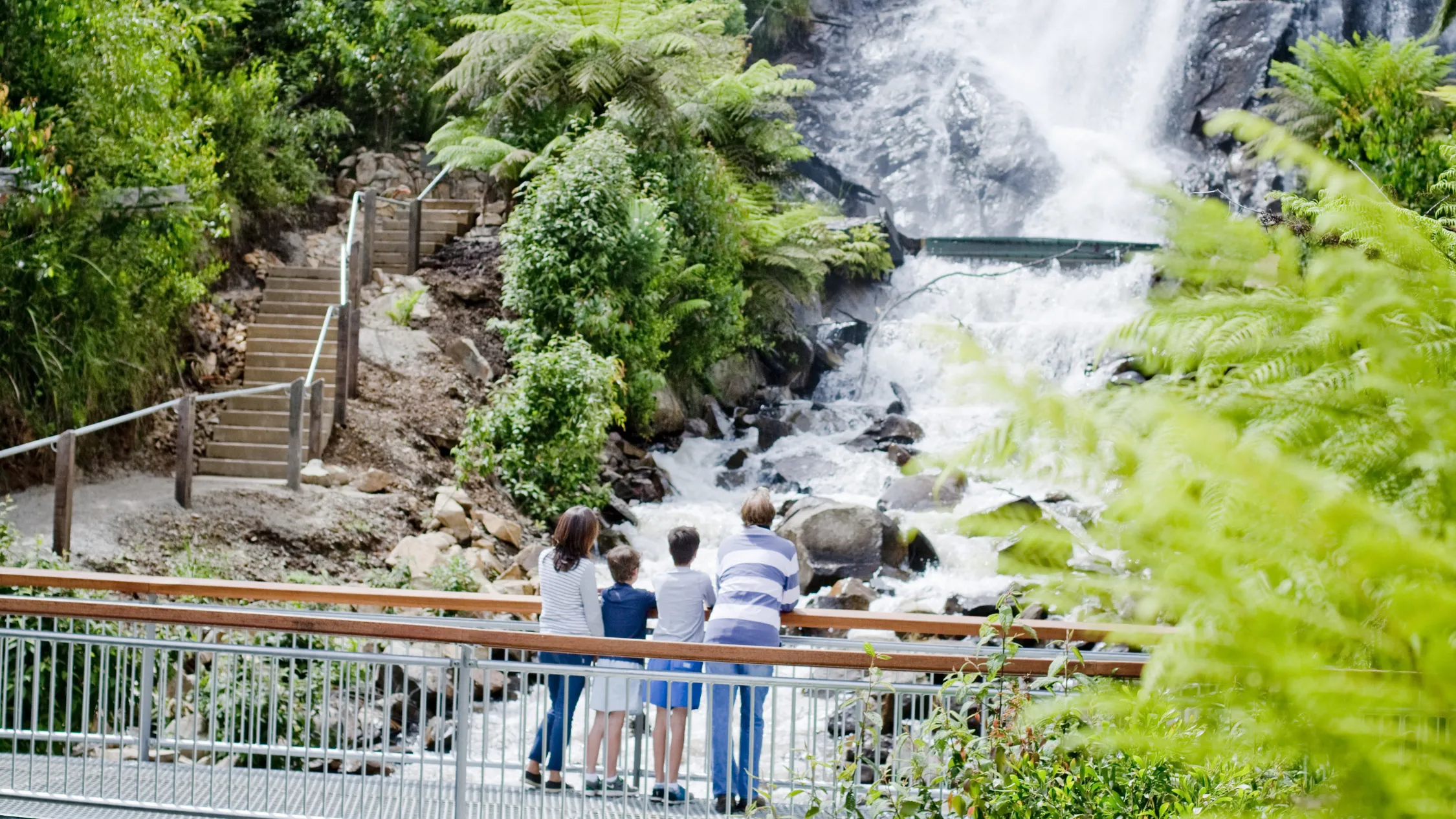 waterfall in Victoria