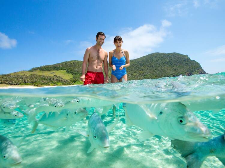 Feed the fish at Ned’s Beach