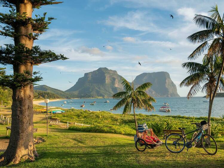 Bicycle parked on grass near beach