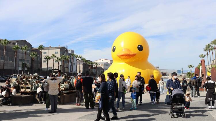 Suminoe Art Beat 2025 Suminoe Art Beat 2025