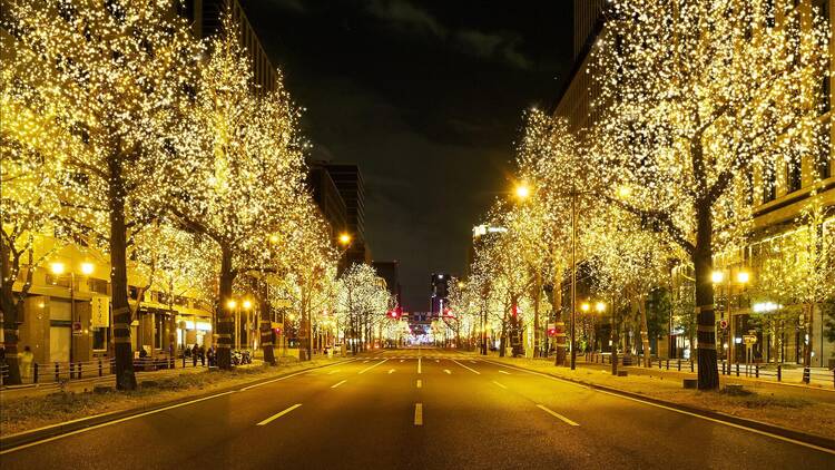 Festival of the Lights Osaka Festival of the Lights Osaka