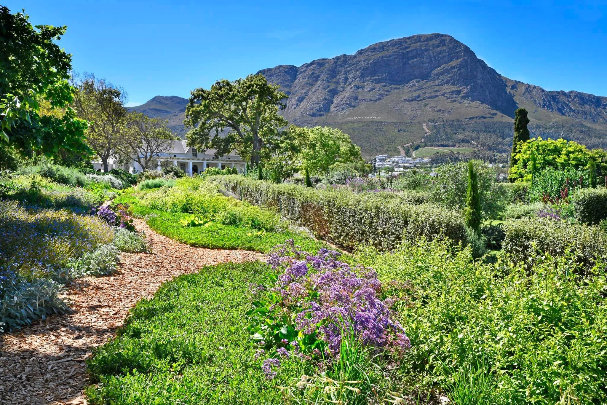 Franschhoek Open Gardens 2025