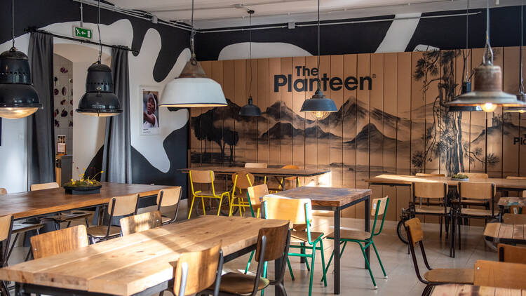 The Planteen The Planteen