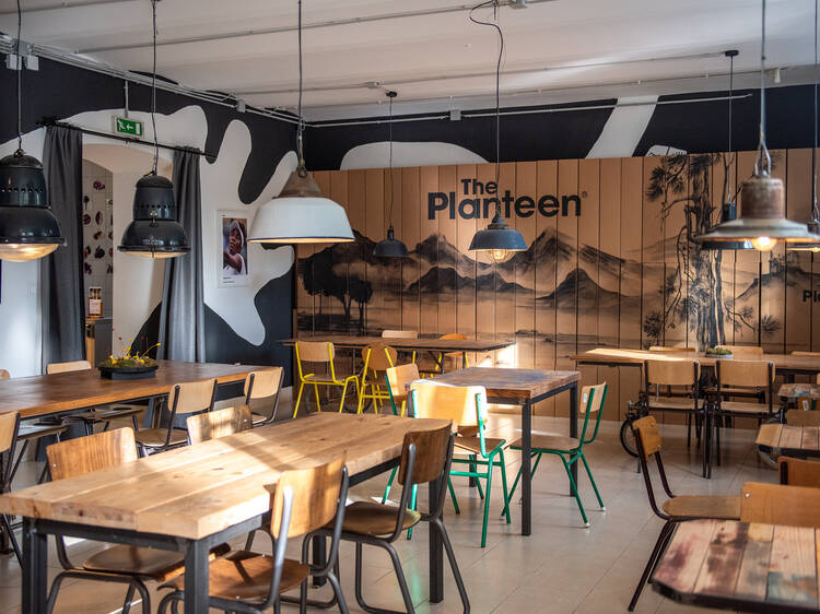 The Planteen The Planteen