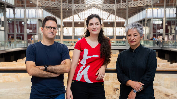 Les veus professionals