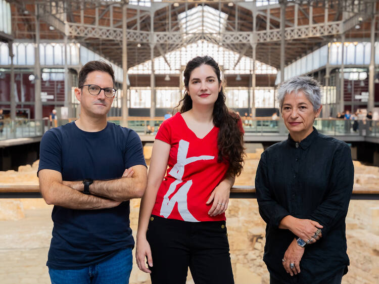 Les veus professionals