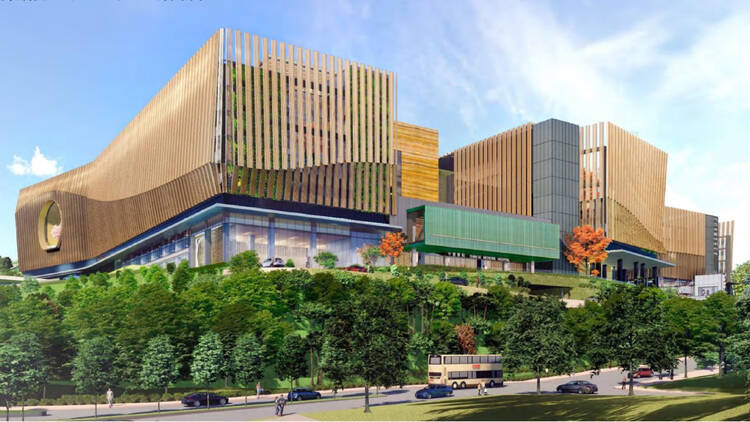 Hong Kong’s first traditional Chinese medicine hospital to open in December
