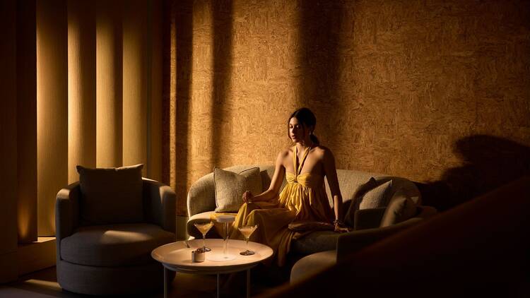 ปฐมบทใหม่ใต้แสงดาว ปฐมบทใหม่ใต้แสงดาว