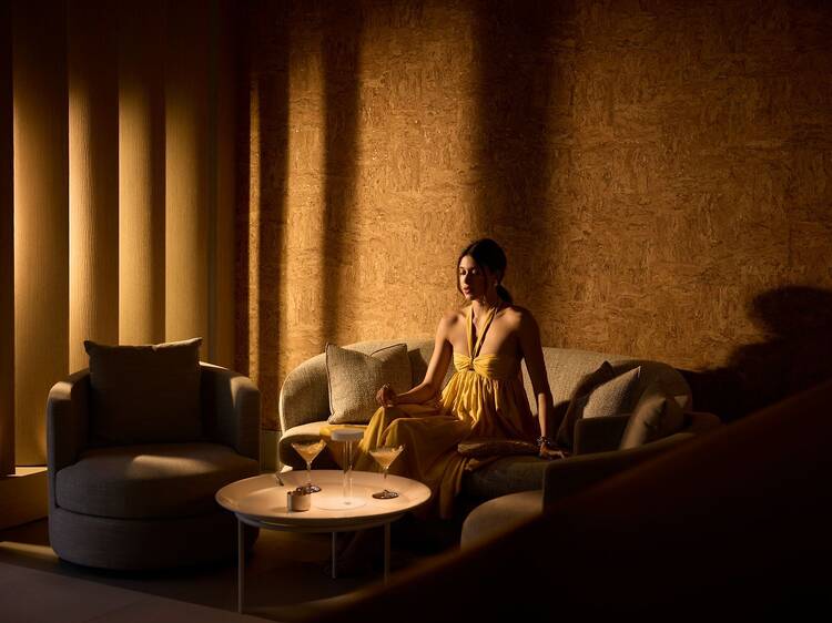 ปฐมบทใหม่ใต้แสงดาว ปฐมบทใหม่ใต้แสงดาว