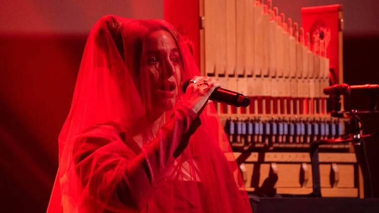 Cicle Orgànic en el Palau Güell Cicle Orgànic en el Palau Güell