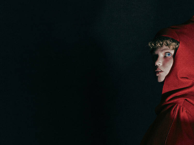 COMING SOON Into the Woods