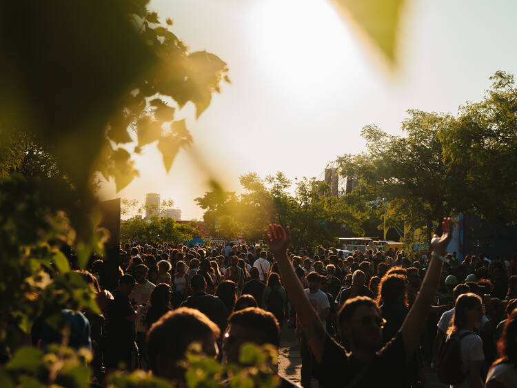 Music Wins Festival music-wins-festival