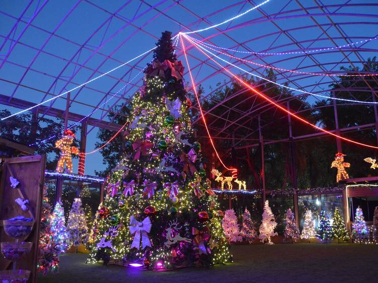 The best things to do in Miami in November The best things to do in Miami in November