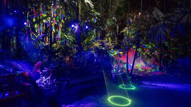 NightGarden NightGarden