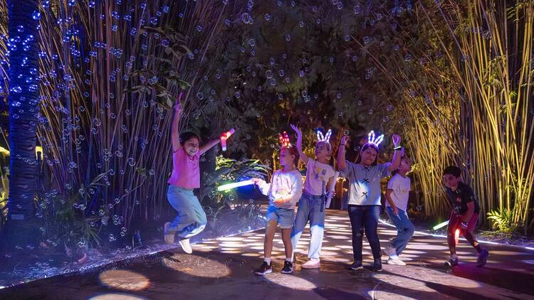 Wander the lush, neon-lit grounds at NightGarden Wander the lush, neon-lit grounds at NightGarden