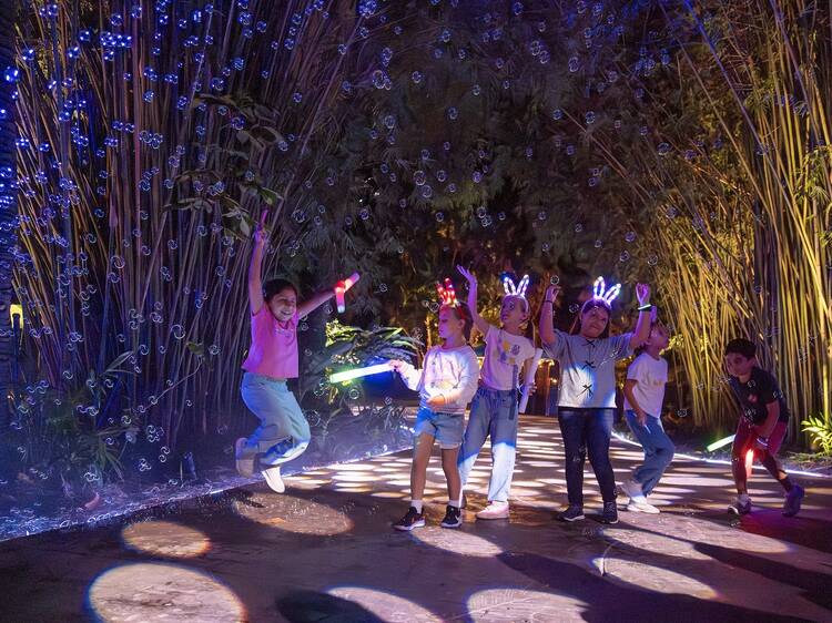 NightGarden at Fairchild NightGarden at Fairchild